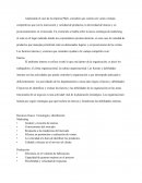 Analisis empresa P&G