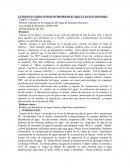 La historia de Análisis de Redes de Distribución de Agua: La era de la informática