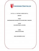 RESPONSABILIDAD SOLIDARIA DE LOS DIRECTORES Y GERENTES