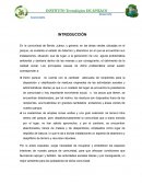 Desarrollo sustentable (proyecto final)