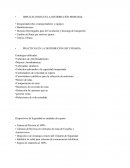 Elementos de Distribucion Grupo Bimbo