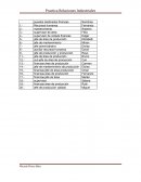 Ensayo - Estadistica