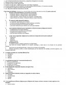 Los primeros siglos medievales y el mundo feudal