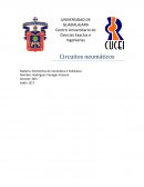 Aplicacion de teroemas de Norton y Therevin