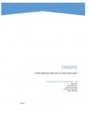 CONTAMINACION EN EL ALCANTARILLADO