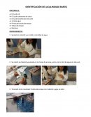 IDENTIFICACIÓN DE ALCALINIDAD (BASES)