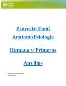 Proyecto Final Anatomofisiología Humana y Primeros Auxilios