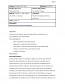 Reporte de paleocristiano y bizantino