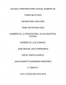 Biotecnologia INGENIERÍA GENETICA