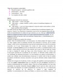 Tipos de receptores sensoriales