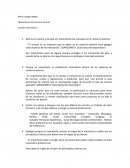 Operaciones de Comercio Exterior Unidad 4 Actividad 2