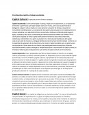 Capital cultural y Capital Social