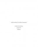 Hardware adicional, y los medios de comunicación.