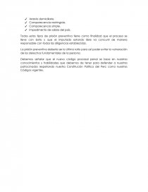 LAS MEDIDAS CAUTELARES EN EL NUEVO CÓDIGO PROCESAL PENAL. Página 4