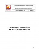 PROGRAMA DE ELEMENTOS DE PROTECCIÓN PERSONAL (EPP)