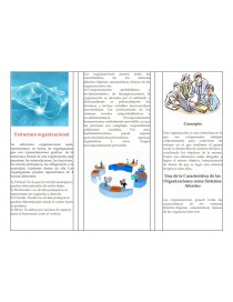 Organizaciones como sistemas. Página 4