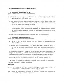 LAS MEDIDAS CAUTELARES EN EL NUEVO CÓDIGO PROCESAL PENAL. Página 2