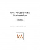 Informe Final Auditoria Tributaria IVA e Impuesto Único