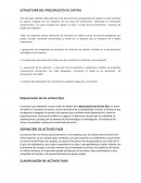 ESTRUCTURA DEL PRESUPUESTO DE CAPITAL