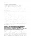 Ventajas del cableado estructurado