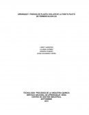 Parada y arranque de chiller