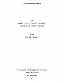 trabajo de ambiental. Encuestas