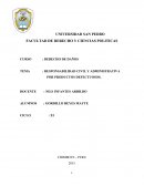 RESPONSABILIDAD CIVIL Y ADMINISTRATIVA POR PRODUCTOS DEFECTUOSOS