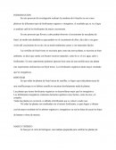 Experimento de siembras de 6 frejoles