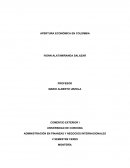 LA Apertura economica en colombia