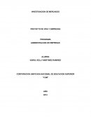 INVESTIGACION DE MERCADOS -PROYECTO DE VIDA Y EMPRESAS