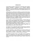Exceso de vitaminas liposolubles