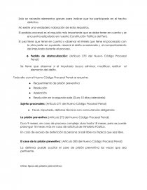 LAS MEDIDAS CAUTELARES EN EL NUEVO CÓDIGO PROCESAL PENAL. Página 3