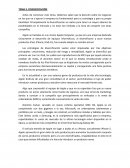 TEMA 3. DIVERSIFICACIÓN