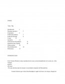 El cacao centroamericano FODA DEL PRODUCTO