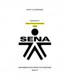 MANTENIMIENTO MACATRONICO DE AUTOMOTORES