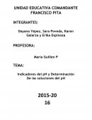 Indicadores del pH y Determinación De las soluciones del pH
