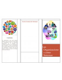 Organizaciones como sistemas. Página 2
