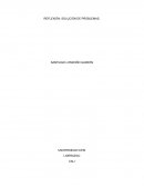 REFLEXIÓN: SOLUCIÓN DE PROBLEMAS.