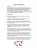 EL CIRCUITO DE ENTRENAMIENTO