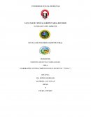 ELABORACIÓN DE VINO (COMPUESTO DULCE DE FRUTAS “ UVILLA” )