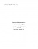 Rises riles y emisiones gasosas