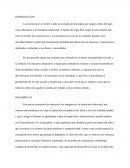 La nueva escuela María Montessori