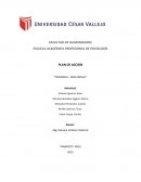 PLAN DE ACCION “VIOLENCIA - AREA SOCIAL”