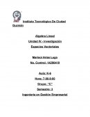 Cuales son los nuevo Espacios Vectoriales