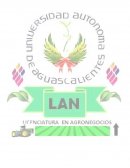 Procesos carnicos practica