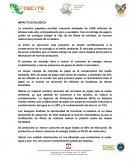 IMPACTO ECOLOGICO. CÒMO FUNCIONA UNA RECICLADORA DE PAPEL