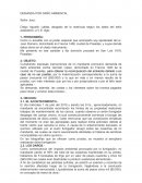 DEMANDA POR DAÑO AMBIENTAL