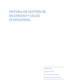 Sistema de Gestión en Seguridad y Salud Ocupacional de la empresa principal “Casa en arbol”