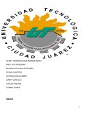 DESGRAVACION ARANCELARIA II