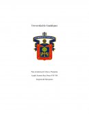 Alegoría del Salvajismo - Ensayo